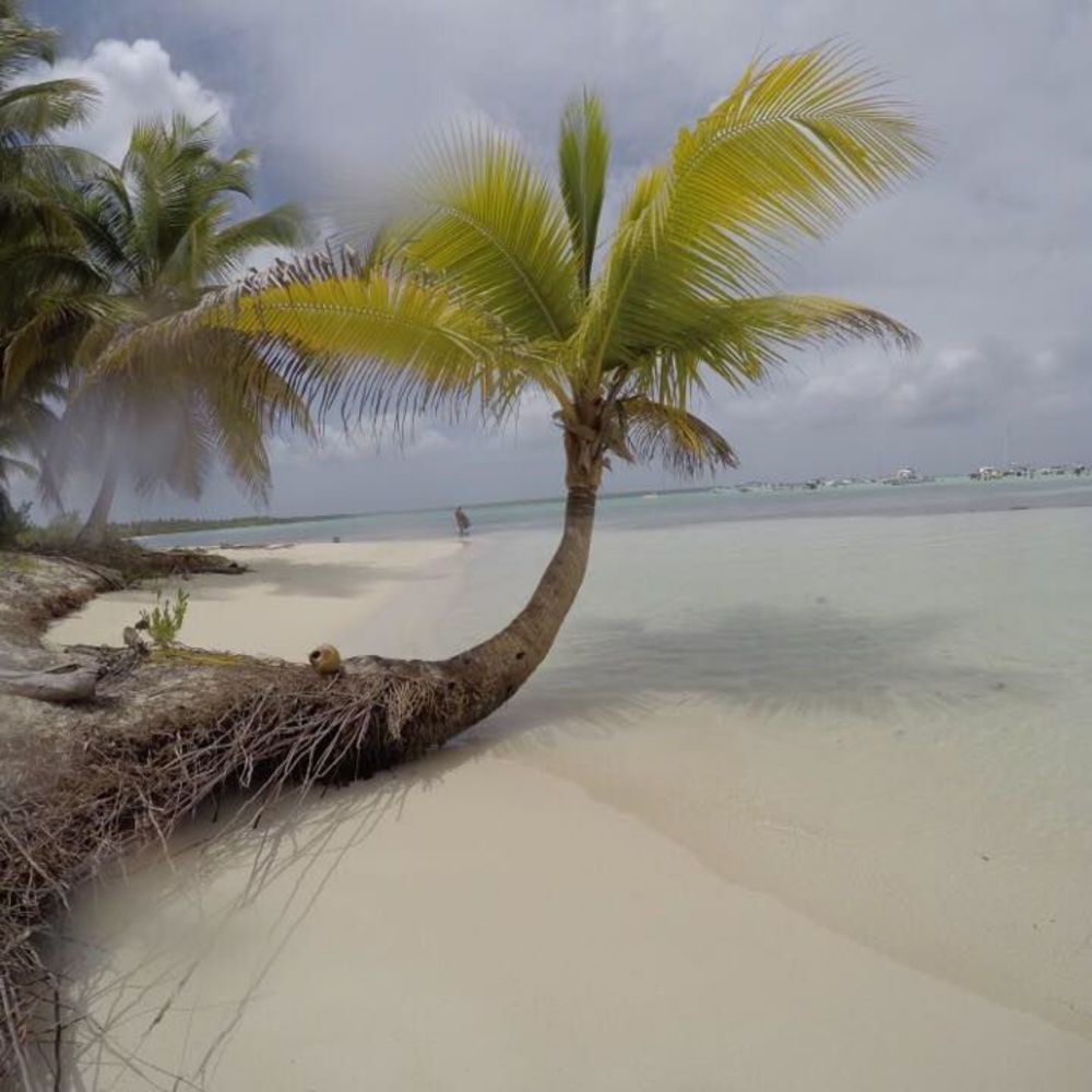 Meet your Posher, Sue